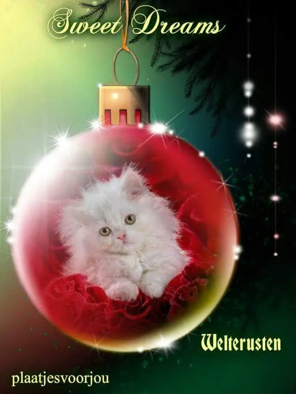 ᐅ Een fijne avond kerstsfeer delen op WhatsApp en sociale media - Feestdagen plaatjes Sweet Dreams Welterusten