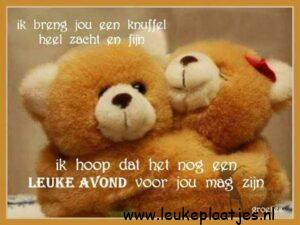fijne avond knuffel