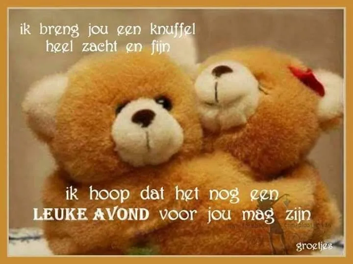 Twee schattige teddyberen met een boodschap van vriendschap en hoop.