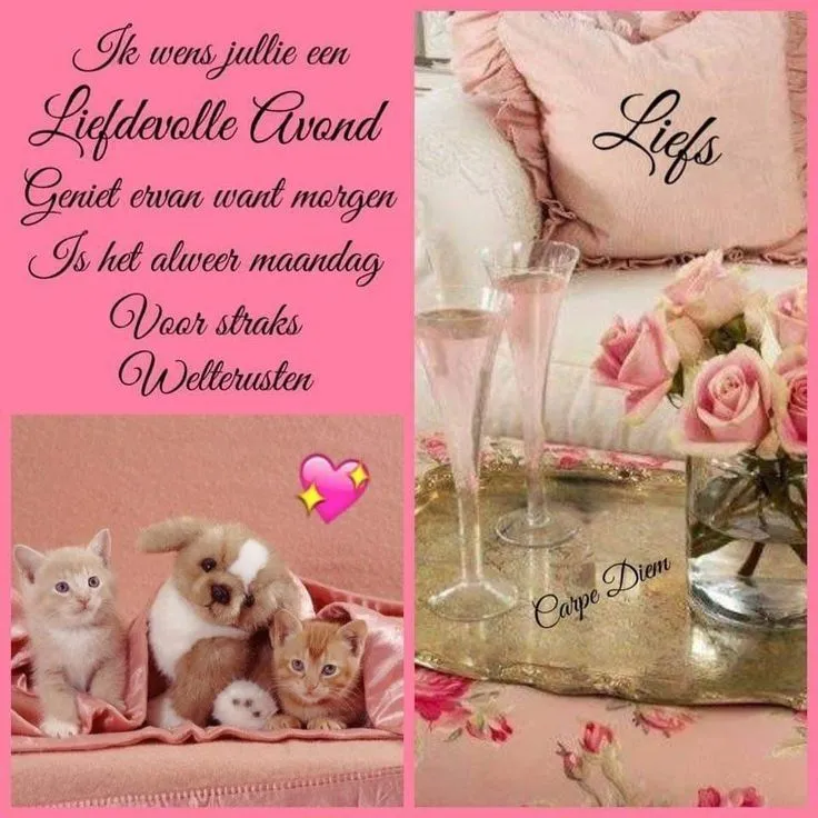 Een collage met schattige kittens, puppy's en rozen met een liefdesboodschap.