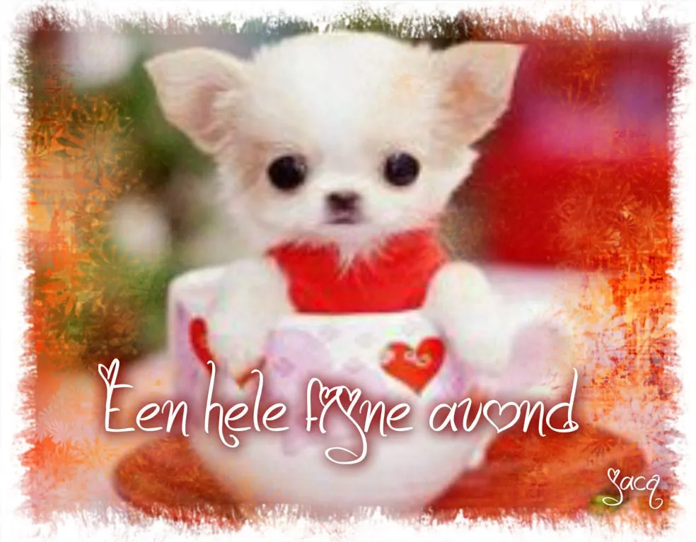 Een schattige puppy in een theekopje met een rode sjaal en hartjes.