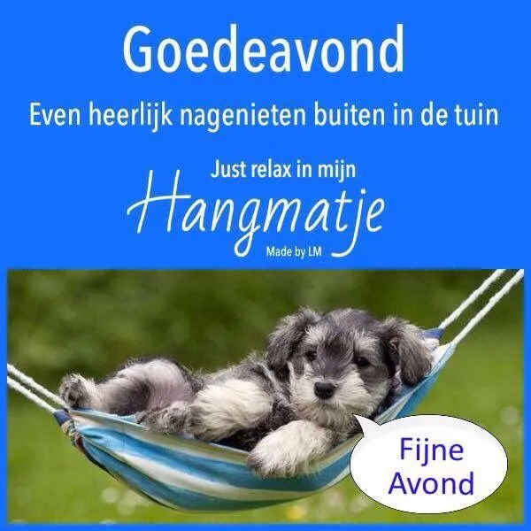Hondje ligt ontspannen in een hangmat in de tuin, met een blauwe achtergrond.