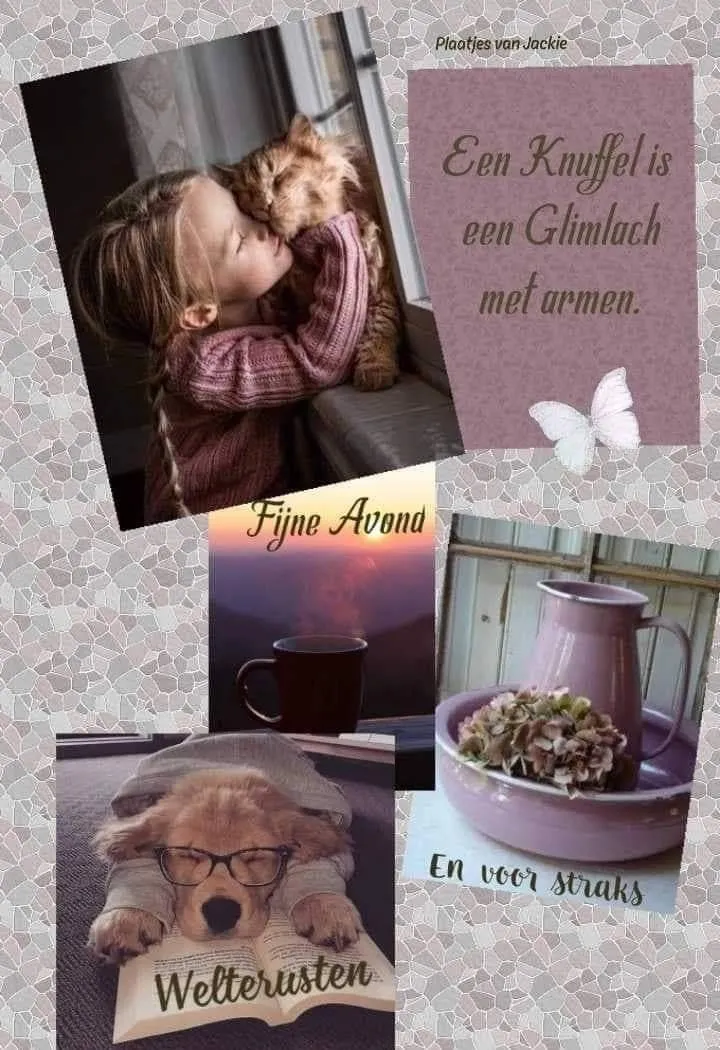 Meisje knuffelt een kat. Onderste afbeeldingen tonen een mok en een schaaltje met bloemen.