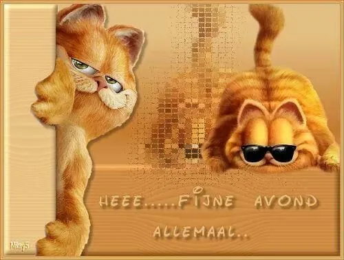 Twee cartoon katten zeggen "fijne avond" met een vrolijke achtergrond.