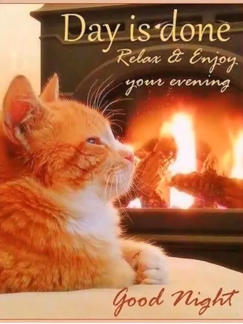 Bruine kat zit naast een open haard, genietend van de avondstemming.