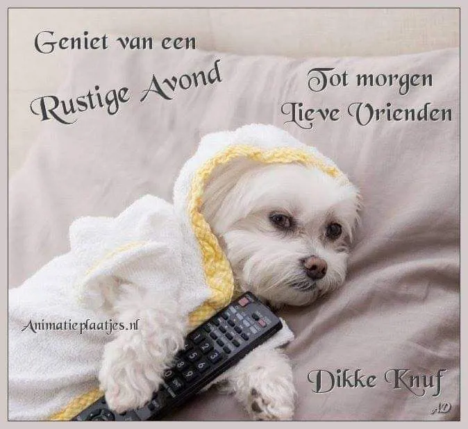 Een hond in een handdoek ligt op een bank met een afstandsbediening. Rustige avond.