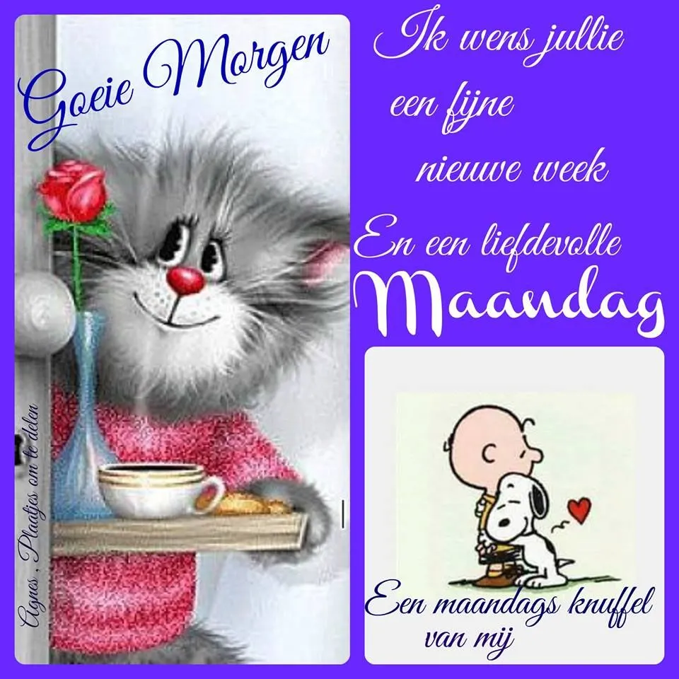 Een schattige kat met een roos en een boodschap voor een fijne maandag.