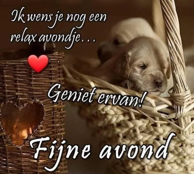 Twee schattige puppy's liggen samen in een mand. Text: Fijne avond!