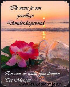 fijne avond romantisch