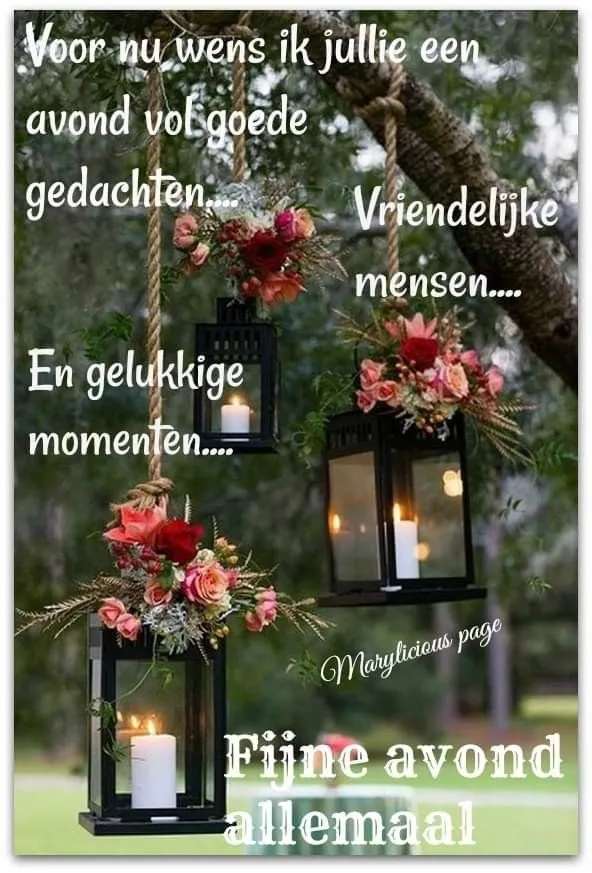 Lantaarns met bloemen hangen tussen takken, boodschap voor een fijne avond.