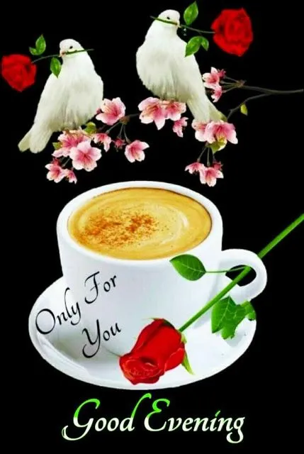 Witte duiven boven een kop koffie met een roos en de tekst "Goedenavond".