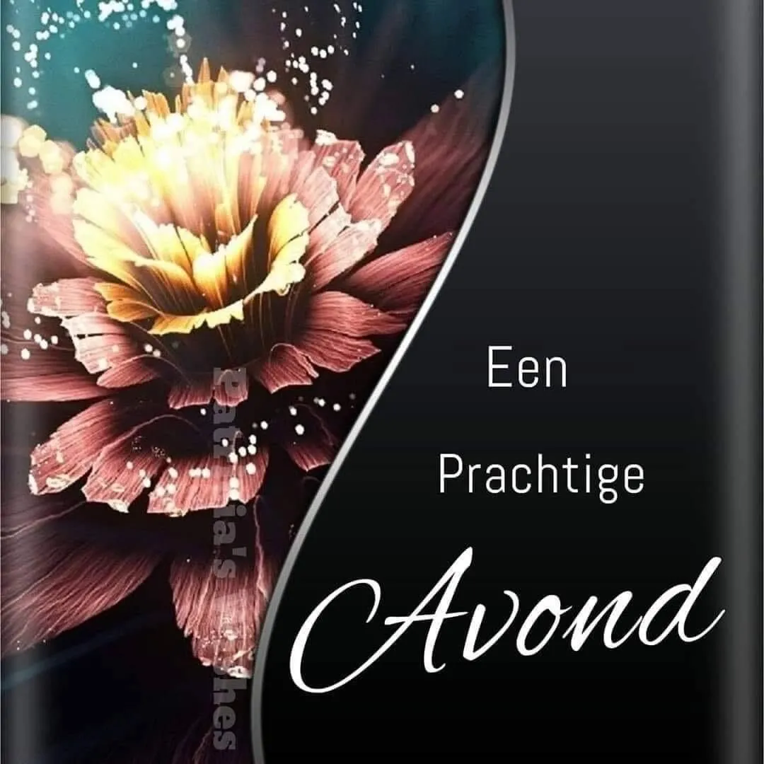 Een prachtige bloem met de tekst "Een Prachtige Avond" op een donkere achtergrond.
