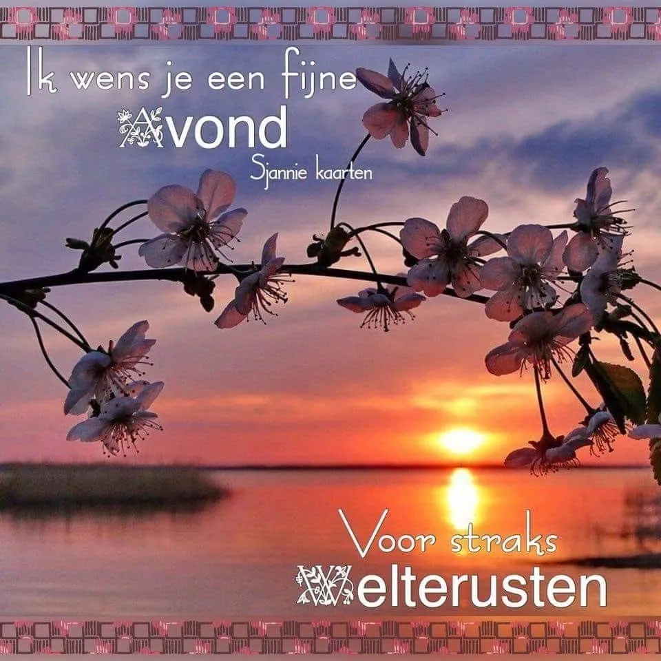 Zonsondergang boven water met bloeiende takken en inspirerende tekst.