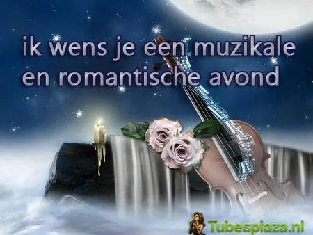 Een viool met rozen, onder een sterrenhemel en maan, met een romantische boodschap.