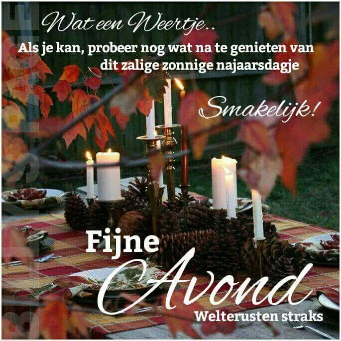 Een gedekte tafel in de natuur met herfstbladeren. Warmte en gezelligheid uitstralend.