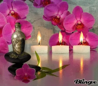 Een aromatische olieflacon tussen paarse orchideeën en kaarsen op stenen.