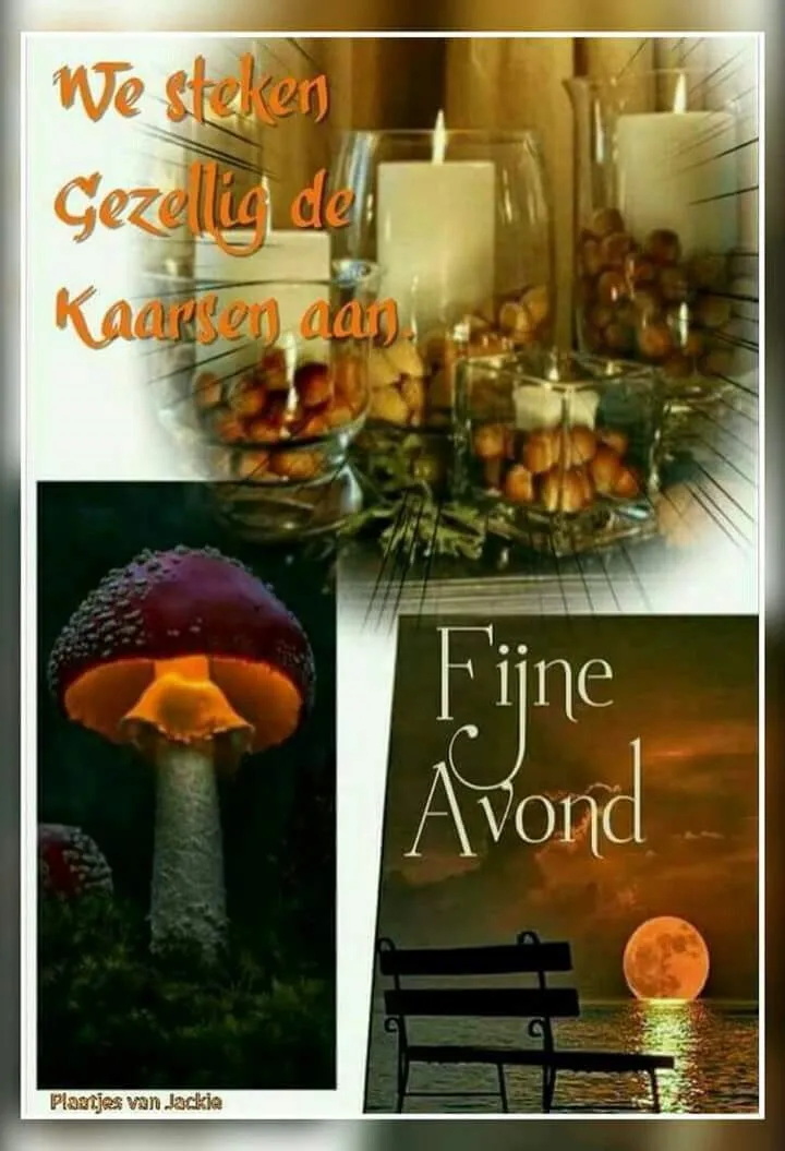 Een collage met kaarsen, paddenstoelen en een avondscène. Teksten over gezelligheid.