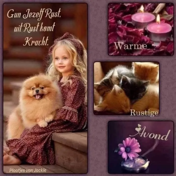 Meisje met een pomeriaan en kittens, serene sfeer met tekst over rust.