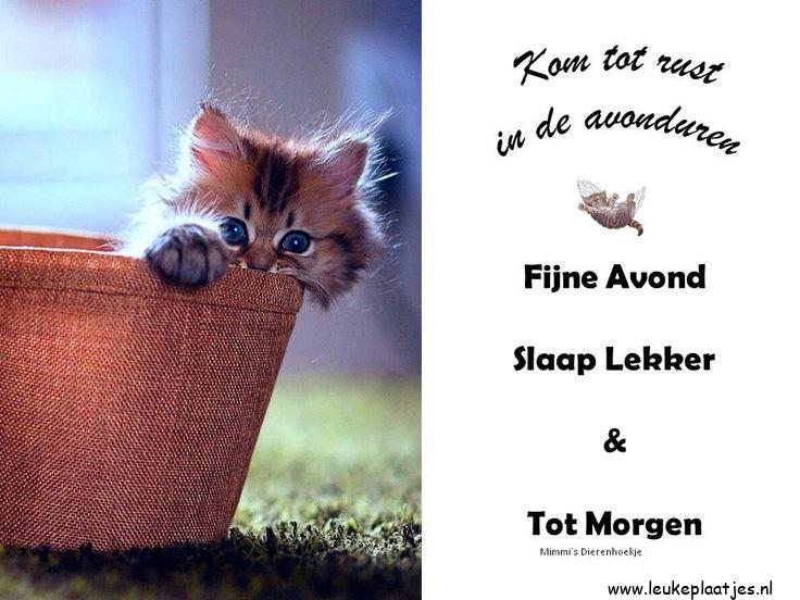 ᐅ fijne avond tot morgen - fijne avond tot morgen plaatjes