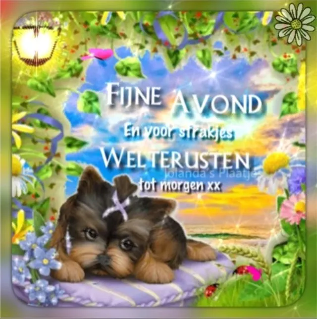 ᐅ fijne avond tot morgen - Fijne avond plaatjes Een schattige hond op een kleurrijke achtergrond met de tekst "Fijne Avond".