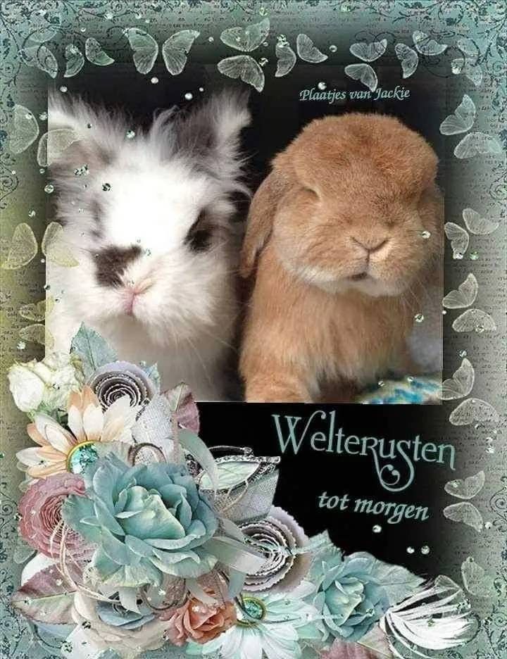 ᐅ fijne avond tot morgen - Fijne avond plaatjes Twee konijnen, één zwart-wit en één bruin, omringd door bloemen en decoraties.