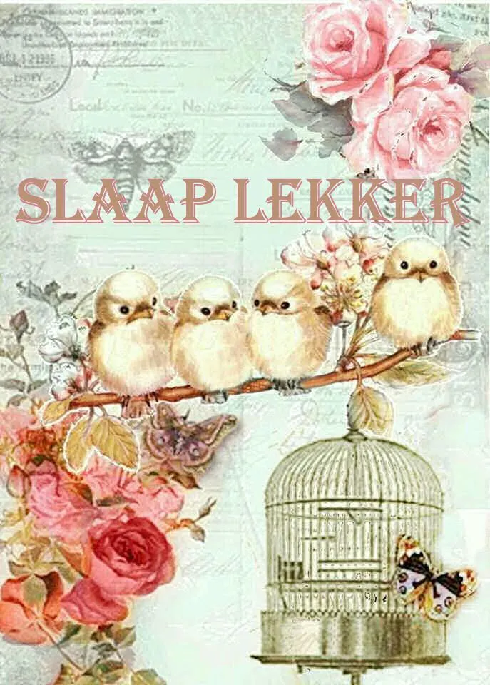 ᐅ fijne avond tot morgen - Fijne avond plaatjes Vier schattige vogeltjes op een tak met bloemen en een kooi, met de tekst "Slaap lekker".