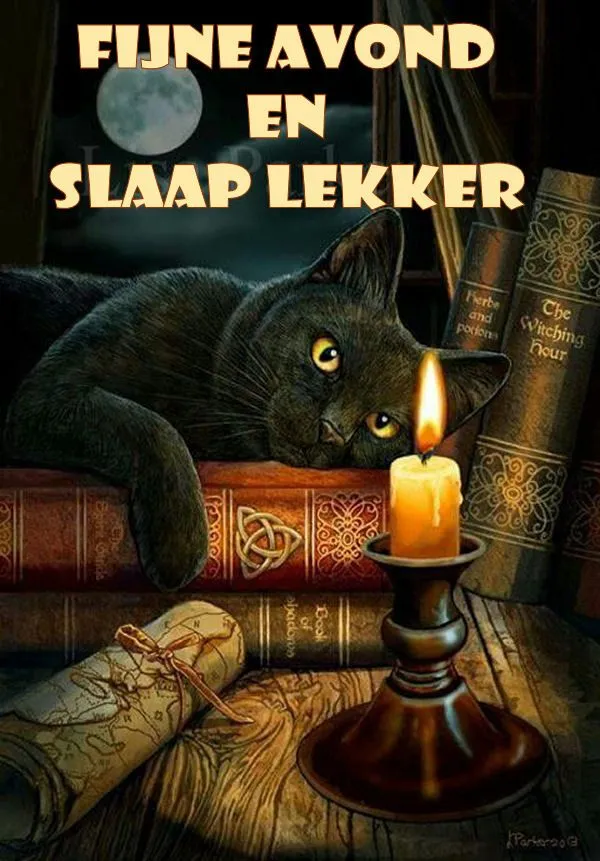 ᐅ fijne avond tot morgen - Fijne avond plaatjes Zwarte kat ligt op boeken met kaarslicht, gezellige avondsetting.