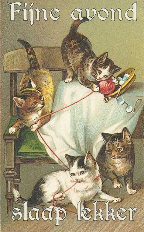 ᐅ fijne avond tot morgen - Fijne avond plaatjes Vijf schattige kittens spelen met garen op een tafel.