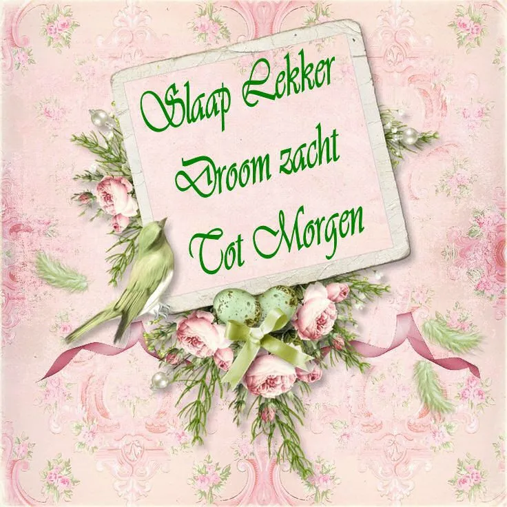 ᐅ fijne avond tot morgen - Fijne avond plaatjes Decoratieve achtergrond met tekst "Slaap lekker, droom zacht, tot morgen" en bloemen.