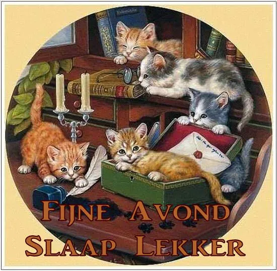 ᐅ fijne avond tot morgen - Fijne avond plaatjes Vijf kittens spelen rond een open doos op een bureau met boeken en kaarsen.