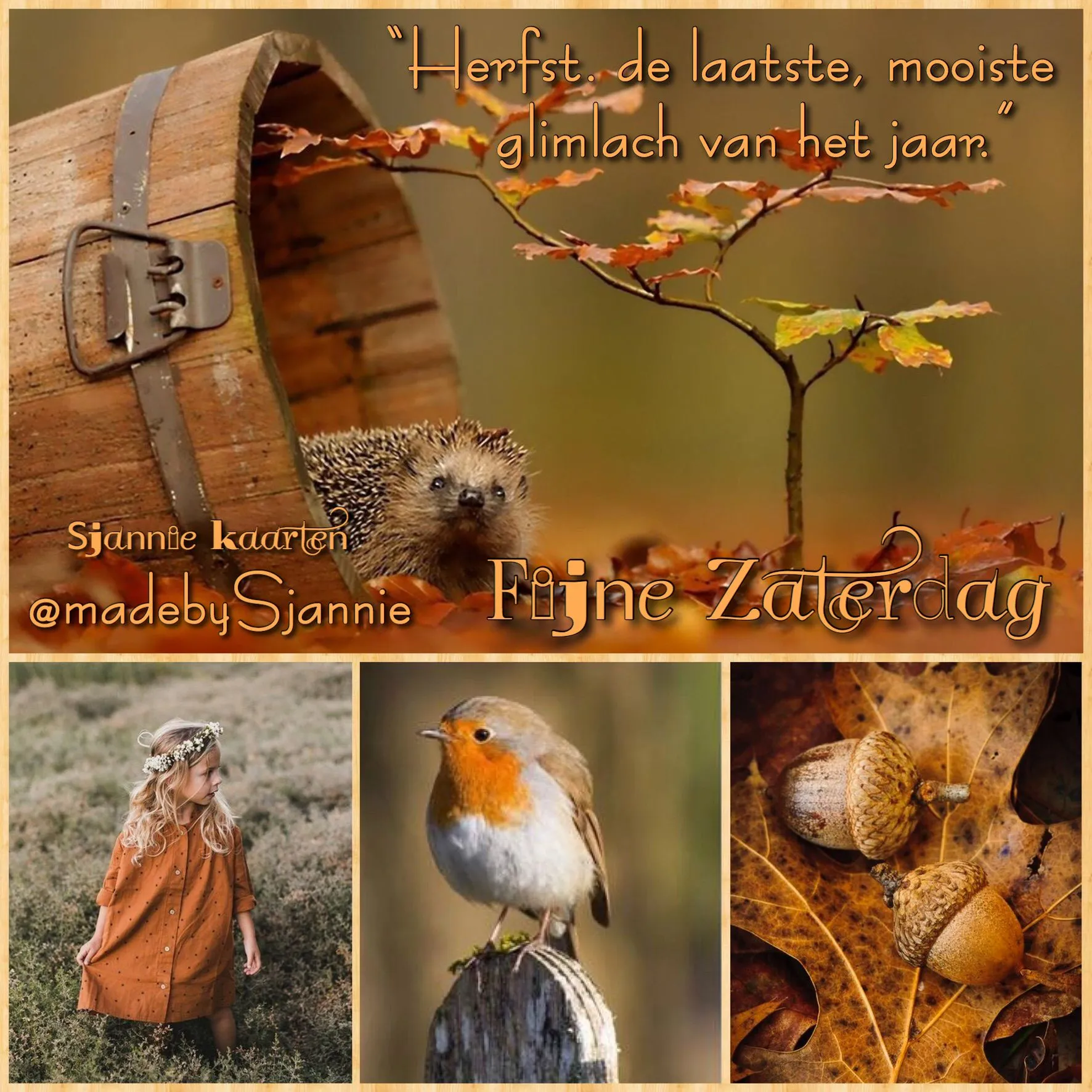 ᐅ fijne avond tot morgen - Fijne avond plaatjes Egel kijkt uit een mand, herfstbladeren, meisje in jurk en een roodborstje. Tekst toegevoegd.