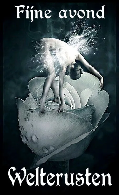 ᐅ fijne avond tot morgen - Fijne avond plaatjes Een figuur danst op een roos in een dromerige, donkere setting.