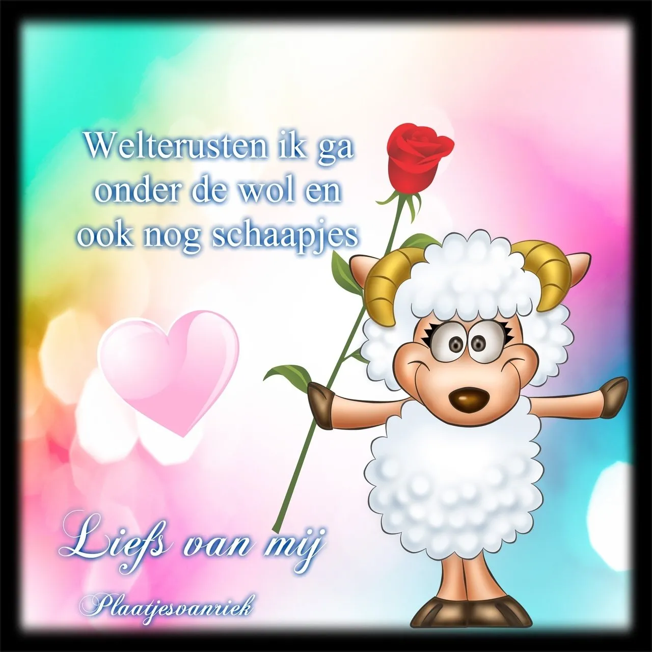 ᐅ fijne avond tot morgen - Fijne avond plaatjes Schattig schaap met een roos op een kleurrijke achtergrond. Tekst onderaan.