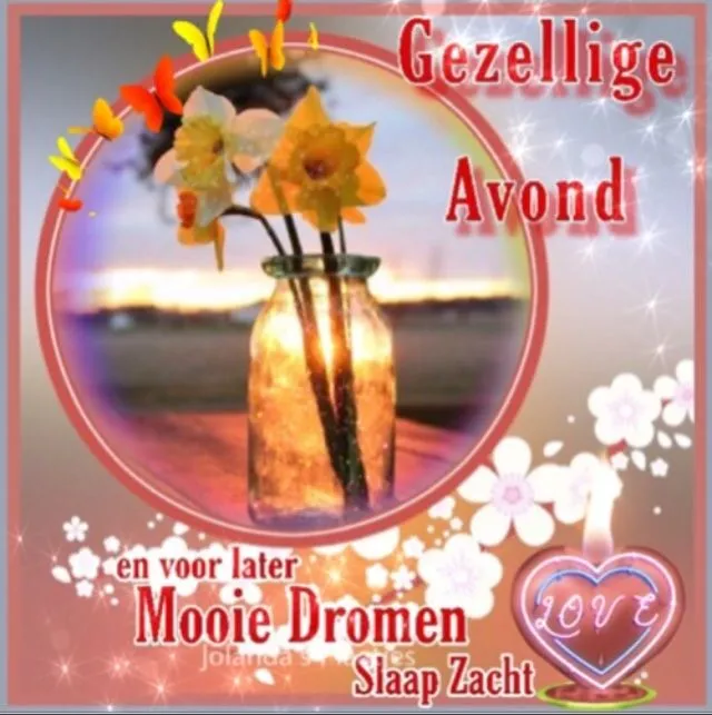 ᐅ fijne avond tot morgen - Fijne avond plaatjes Fles met bloemen op een achtergrond van een zonsondergang en tekst over een gezellige avond.