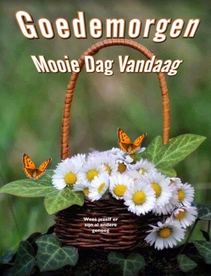 ᐅ fijne dag - fijne dag plaatjes