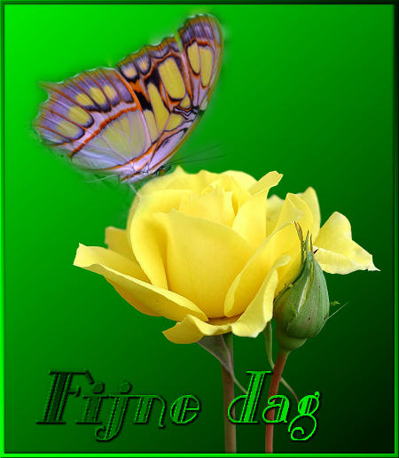ᐅ Gratis Fijne Dag Wensen - De Leukste Kaarten - Fijne Dag plaatjes Een gele roos met een vlinder op groene achtergrond en de tekst "Fijne dag".