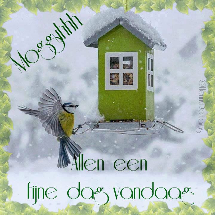 ᐅ Gratis Fijne Dag Wensen - De Leukste Kaarten - Fijne Dag plaatjes Een vogel bij een voederhuisje in een winterse omgeving. Fijne dag gewenst!