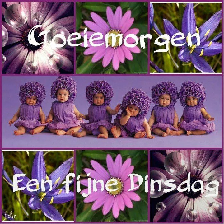 ᐅ fijne dag gewenst - Fijne Dag plaatjes Zes baby’s met bloemenhoeden, omringd door paarse bloemen en druppels.