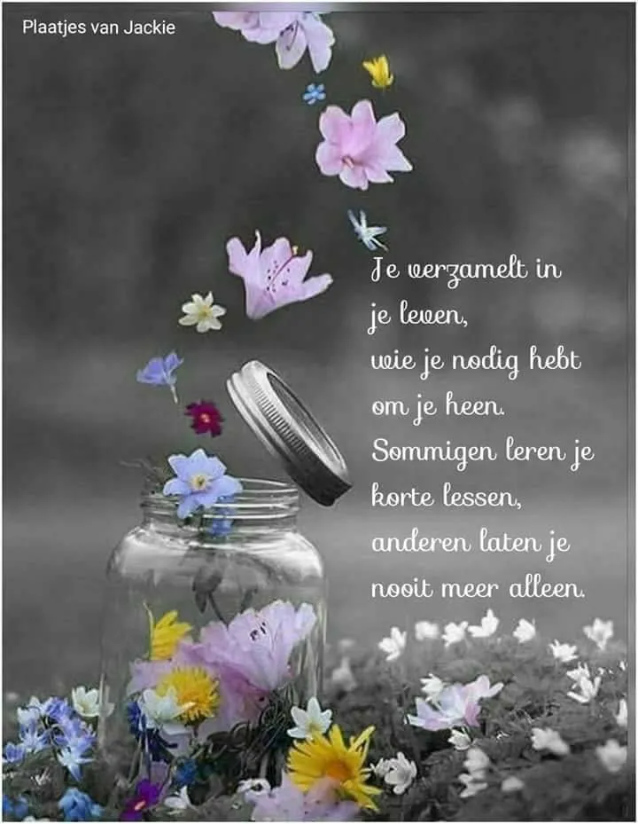 ᐅ fijne dag gewenst - Fijne Dag plaatjes Een glazen pot met bloemen en een inspirerende tekst over leven en lessen.