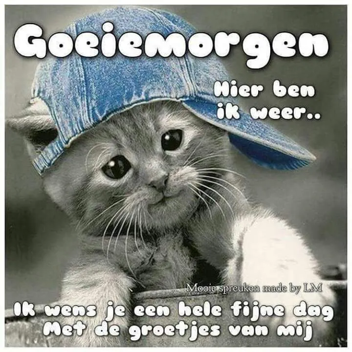 ᐅ fijne dag gewenst - Fijne Dag plaatjes Een schattige kitten met een blauwe pet, die vrolijk kijkt. Tekst met groeten voor de dag.