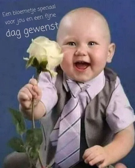 ᐅ fijne dag gewenst - Fijne Dag plaatjes Een blije baby met een roos in zijn hand, draagt een stropdas en een vest.