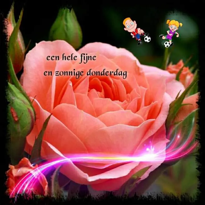 ᐅ fijne dag gewenst - Fijne Dag plaatjes Roze roos met tekst voor een fijne en zonnige donderdag.
