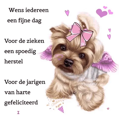 Een schattige hond met een strik en vleugels, wens voor een fijne dag en herstel.