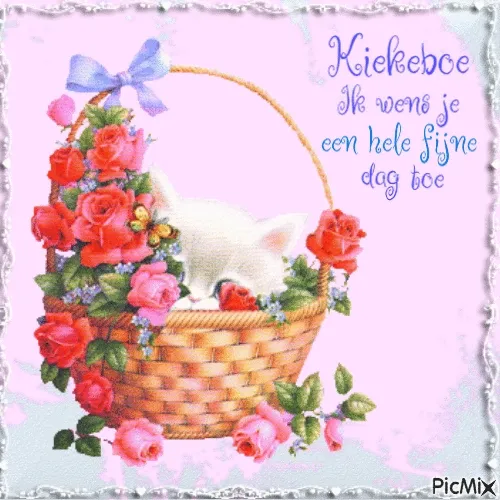 Mand met bloemen en een slapende witte kat, met de tekst "Kiekeboe".