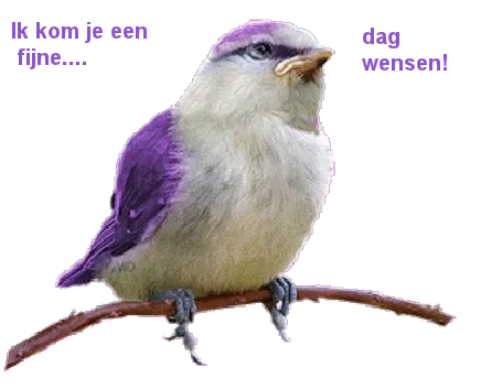 Een kleurrijke vogel op een tak met een paarse achtergrond en een groettekst.