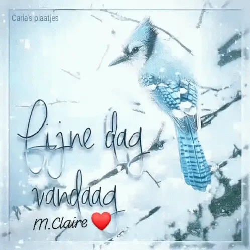 Een blauwe vogel op een sneeuwachtige achtergrond met creatieve tekst.