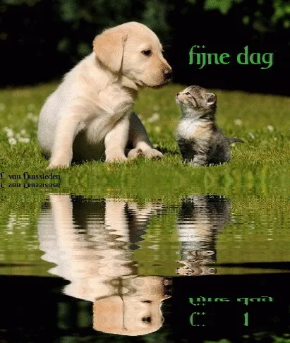 Een puppy en een kitten kijken naar elkaar op een grasveld met reflectie in het water.