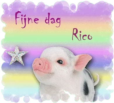 Schattig varkentje op een kleurrijke achtergrond met de tekst "Fijne dag Rico".
