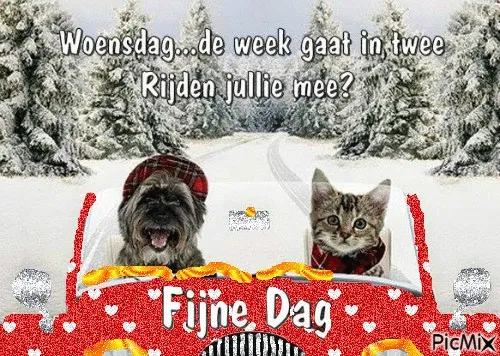 Hond en kat in een auto, geflankeerd door een besneeuwd landschap. Fijne dag gewenst.