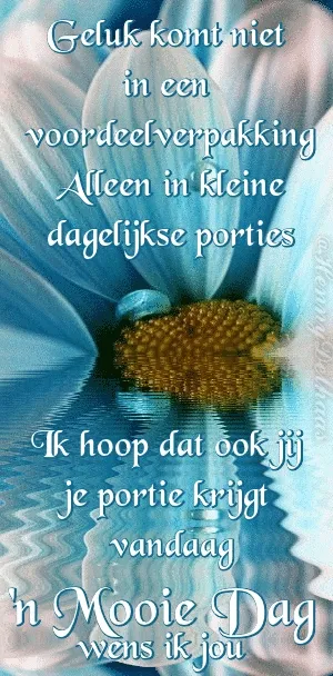 Blauwe bloem op achtergrond met tekst over geluk en dagelijkse porties.